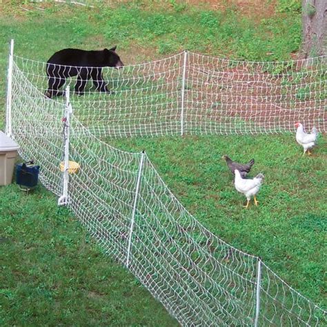 electric fence to keep predators out of chicken enclosure|portable electric chicken fencing.